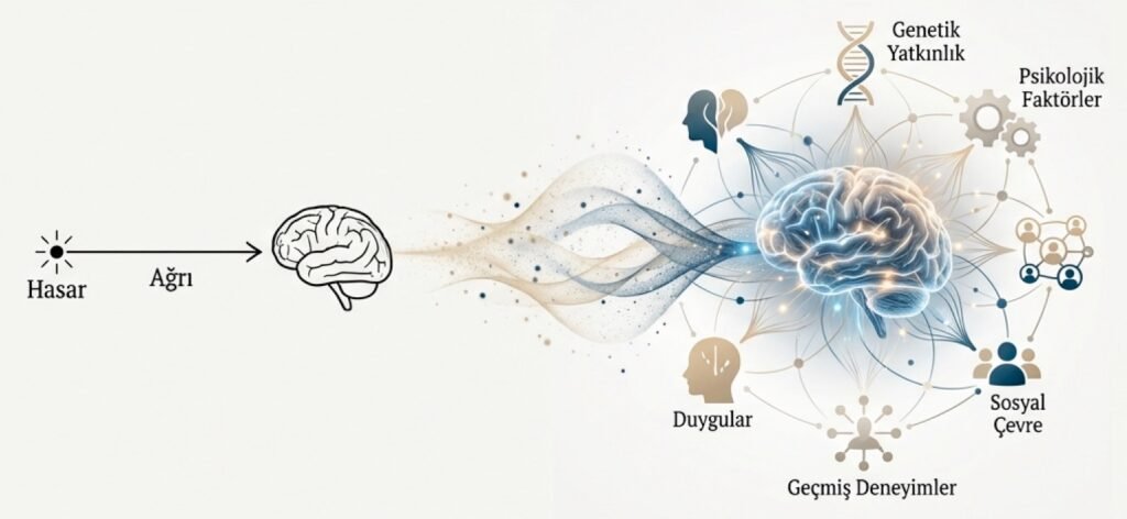 Ağrıyı Anlamak ve Dindirmek