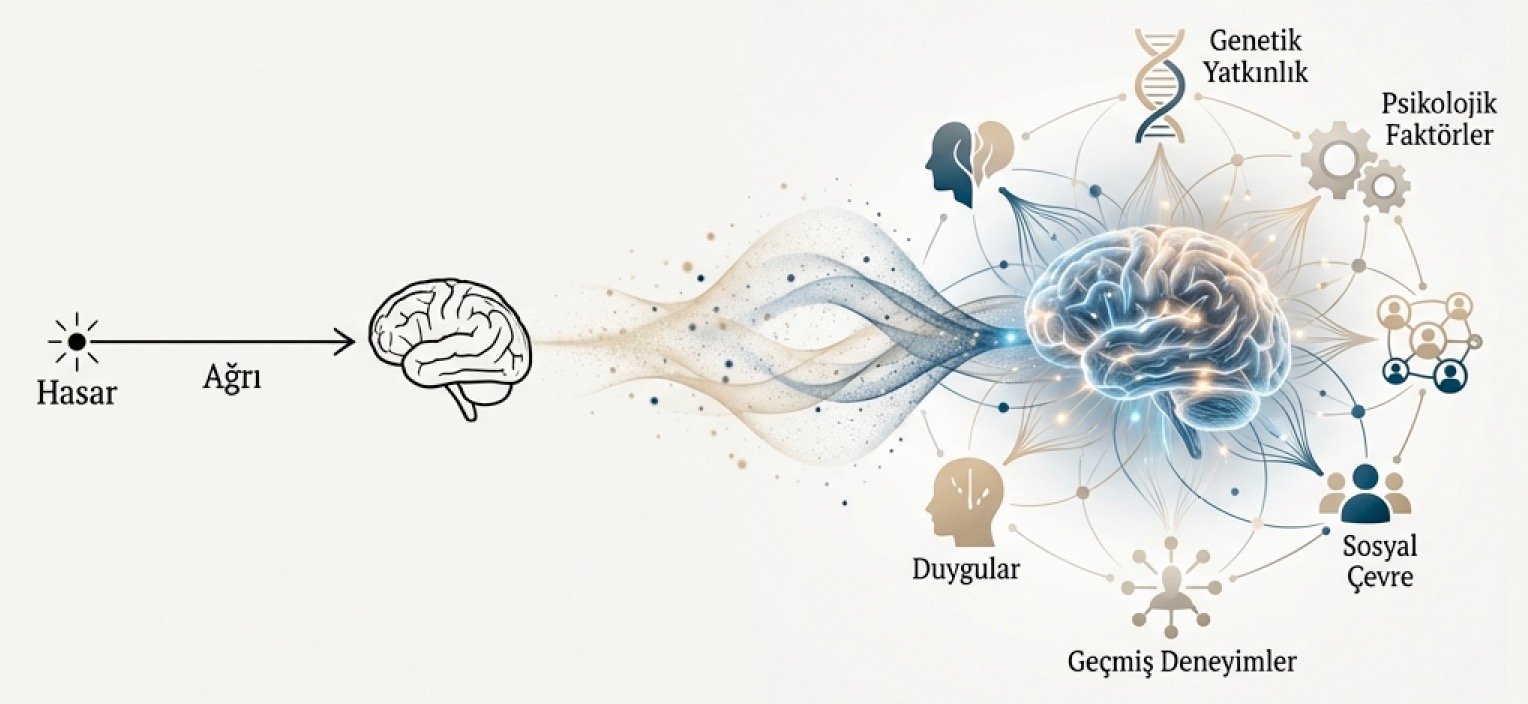 Ağrıyı Anlamak ve Dindirmek
